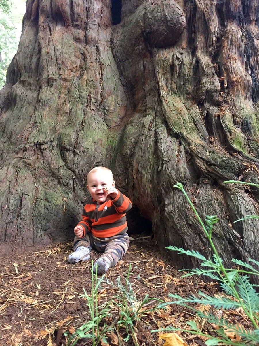 savetheredwoods's tweet photo. Expecting? Check our top picks for unique baby names fresh from the redwood forest:
https://t.co/MtZlkWDS17
Photo by Megan Derhammer
#babyname #babynamelist #parenting #naturelover #names #redwoods https://t.co/CZ7kF2d7u6