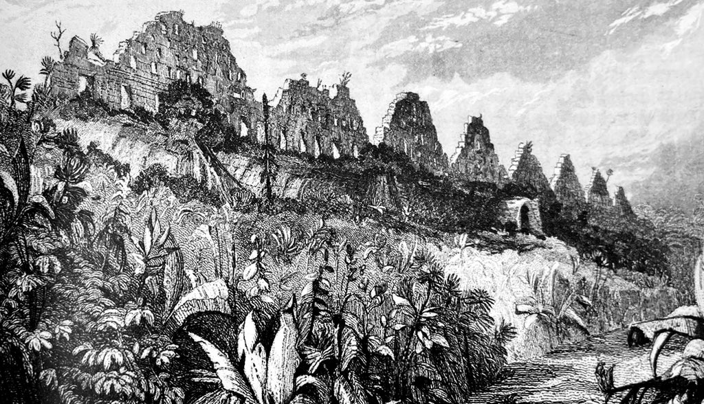 Luis Paredes tweet media