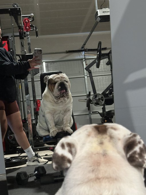 &hellip; https://t.co/jax4610JOJ