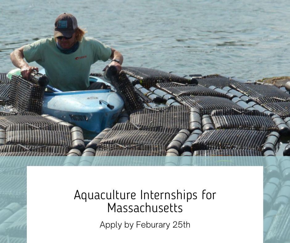 Introducing a paid internship program to learn about aquaculture in Massachusetts! Aquaculture Internships for Massachusetts, collaborates with MIT  Sea Grant, and more. Check out this sand-tastic opportunity.loom.ly/_qFWYhY
#aquaculture #internships #ocean #bluetech