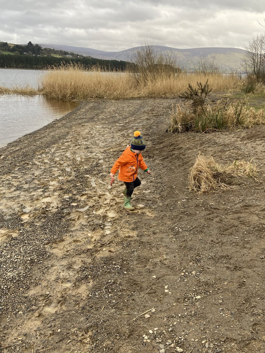 David Cullagh tweet media