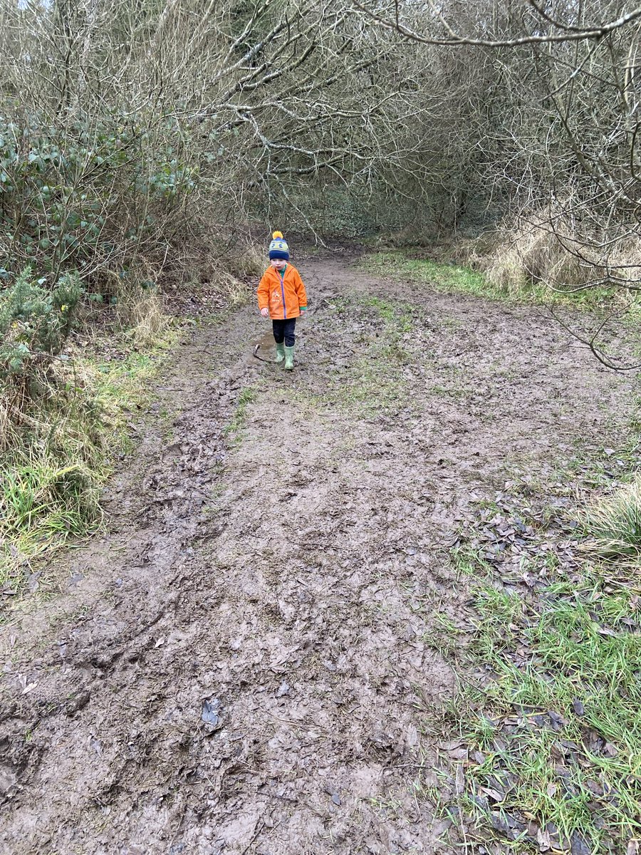 David Cullagh tweet media