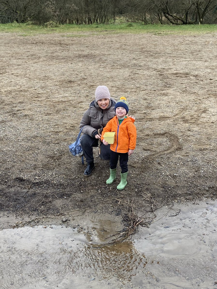 David Cullagh tweet media