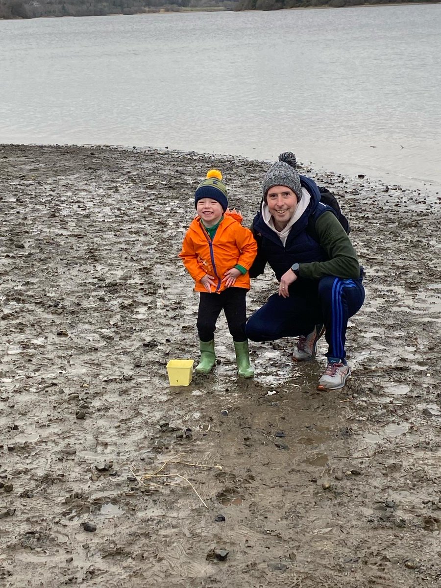 David Cullagh tweet media