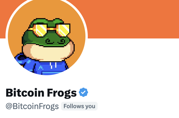 setoshi (transformation) tweet media