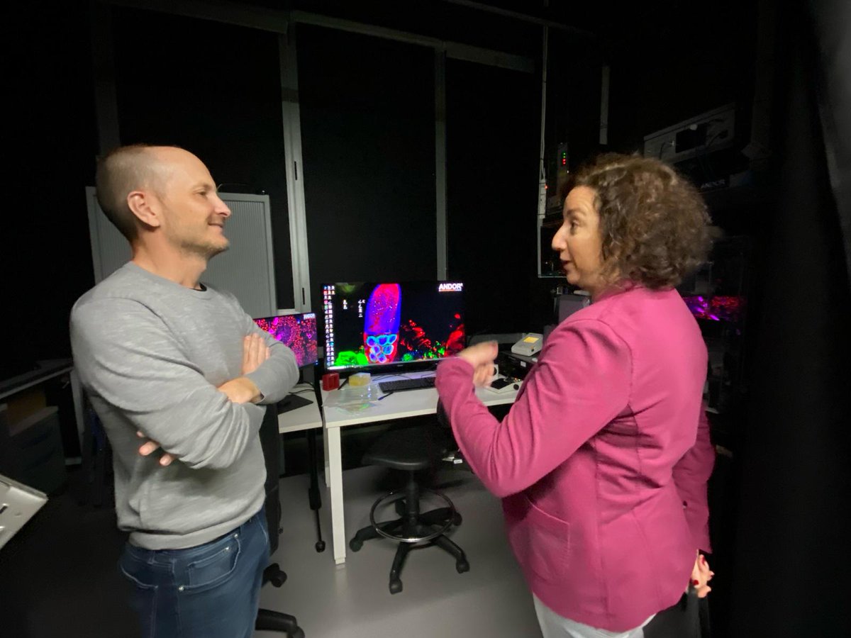 Alícia Romero 💜 tweet media