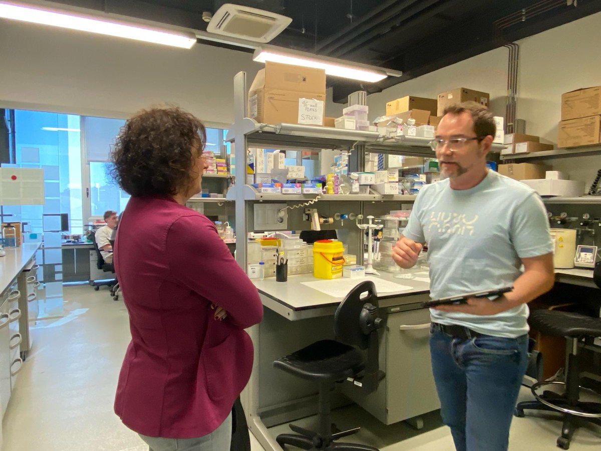 Alícia Romero 💜 tweet media