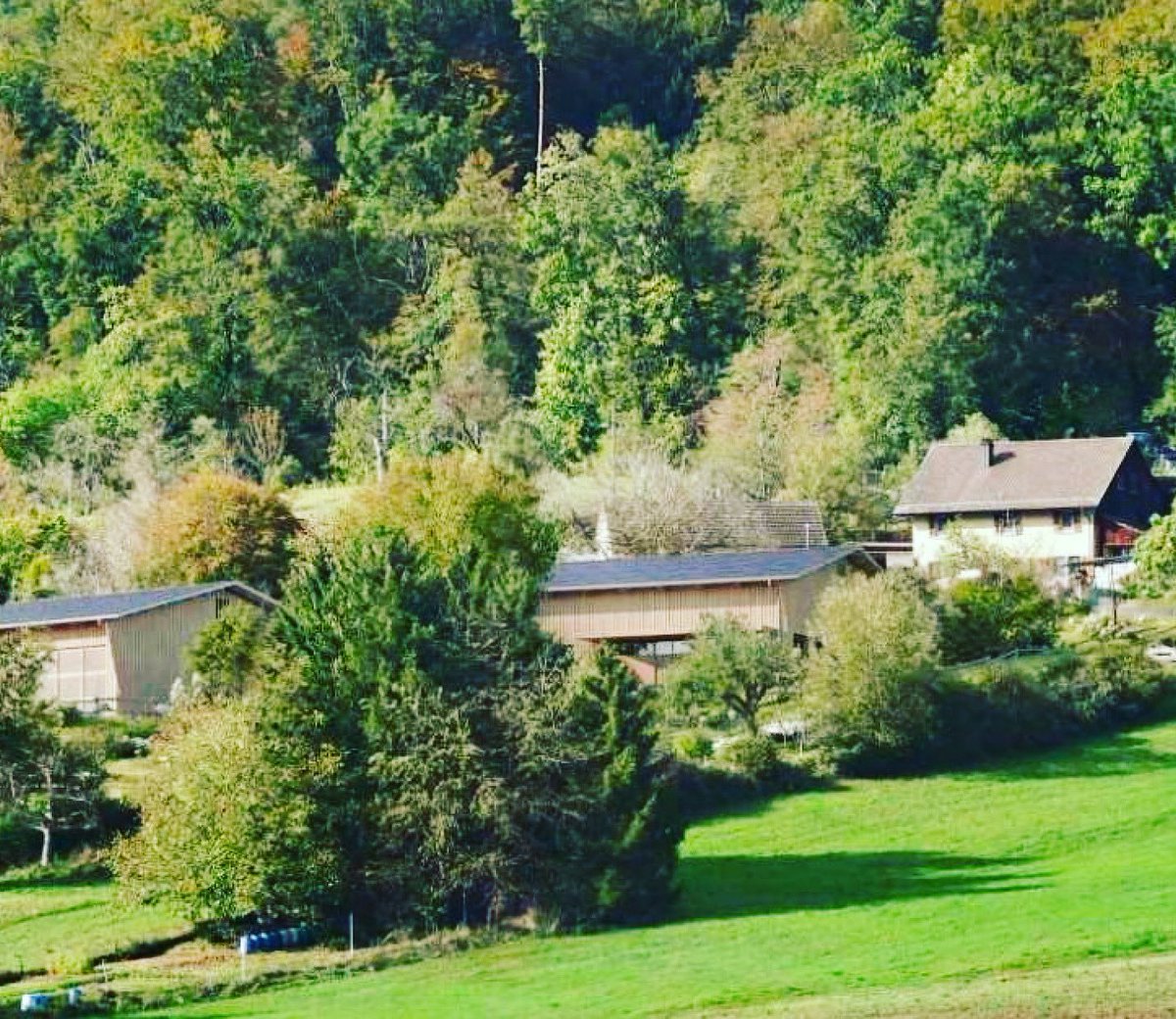 mittewettingen's tweet photo. JA zur Spezialzone Berg am 3. März! https://t.co/WwuqyjtCVs https://t.co/REz3nRpane