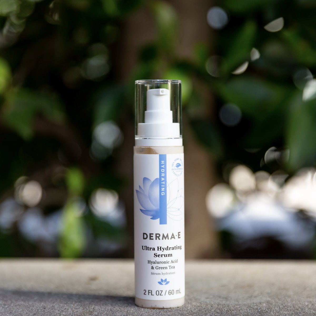 Saarah Wassel ✨ tweet media