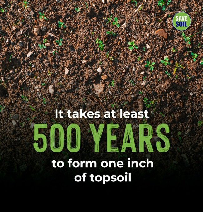 AlsoliCinzia's tweet photo. WELL!
Participants at the 1st #SoilWeek event in Bulgaria called for a national network that will create recommendations for policy makers on various national and regional soil-related issues.
An example to follow!
#SaveSoil
#SoilForClimateAction
@soils4europe https://t.co/44zTlkoI31