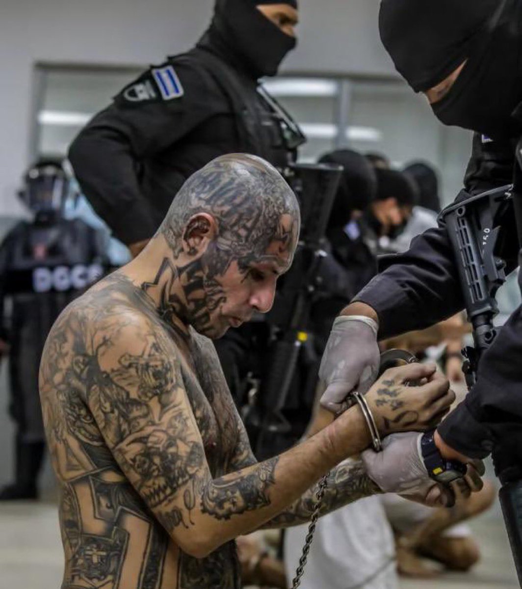 ¿Estás de acuerdo en que Bukele debe seguir aplicando todo el peso de la ley a los terroristas y delincuentes por 5 años más en El Salvador?