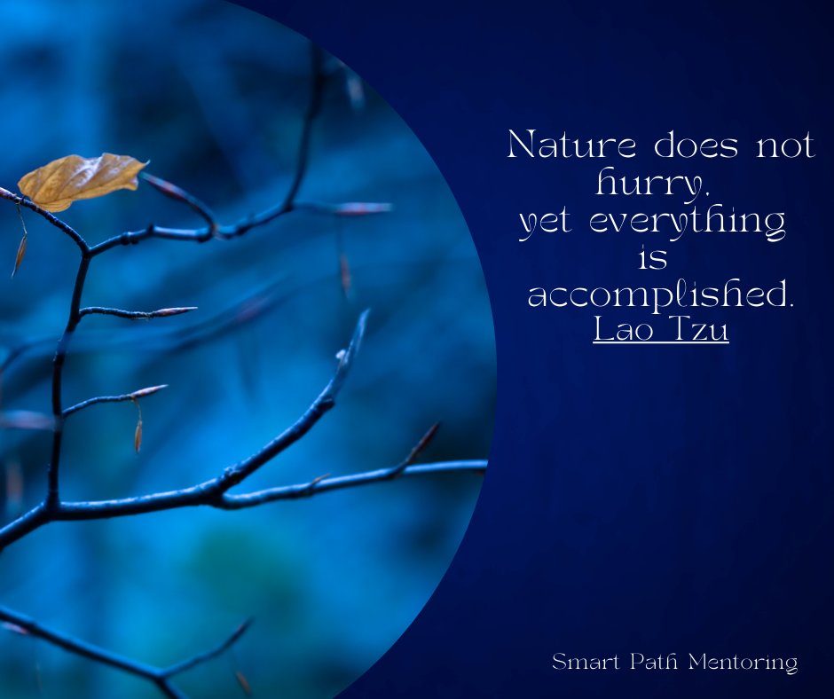 Chrizynz's tweet photo. "Embrace slowing down in life. Trust that everything unfolds in its own time. Greatness cannot be rushed; it emerges naturally. Surrender your dreams with clarity and patience, and watch the magic unfold."
#Unstoppable #smartpathmastery #wisdom #laotzu https://t.co/igdebbLv0h
