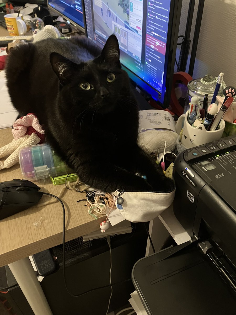 RubisChat's tweet image. C’est important de vérifier que tout se passe bien au niveau de l’imprimante.

La quoi ? La peluche, sous moi ? Non, elle va bien, je vous assure.