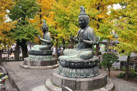 namutyan's tweet photo. 今日があなたの人生で一番若い日
Today is the youngest day in your life

人は過去にとらわれやすい
変えられない過去よりも、これからに目を向けて　今をどういきるか https://t.co/7ngreqedaj