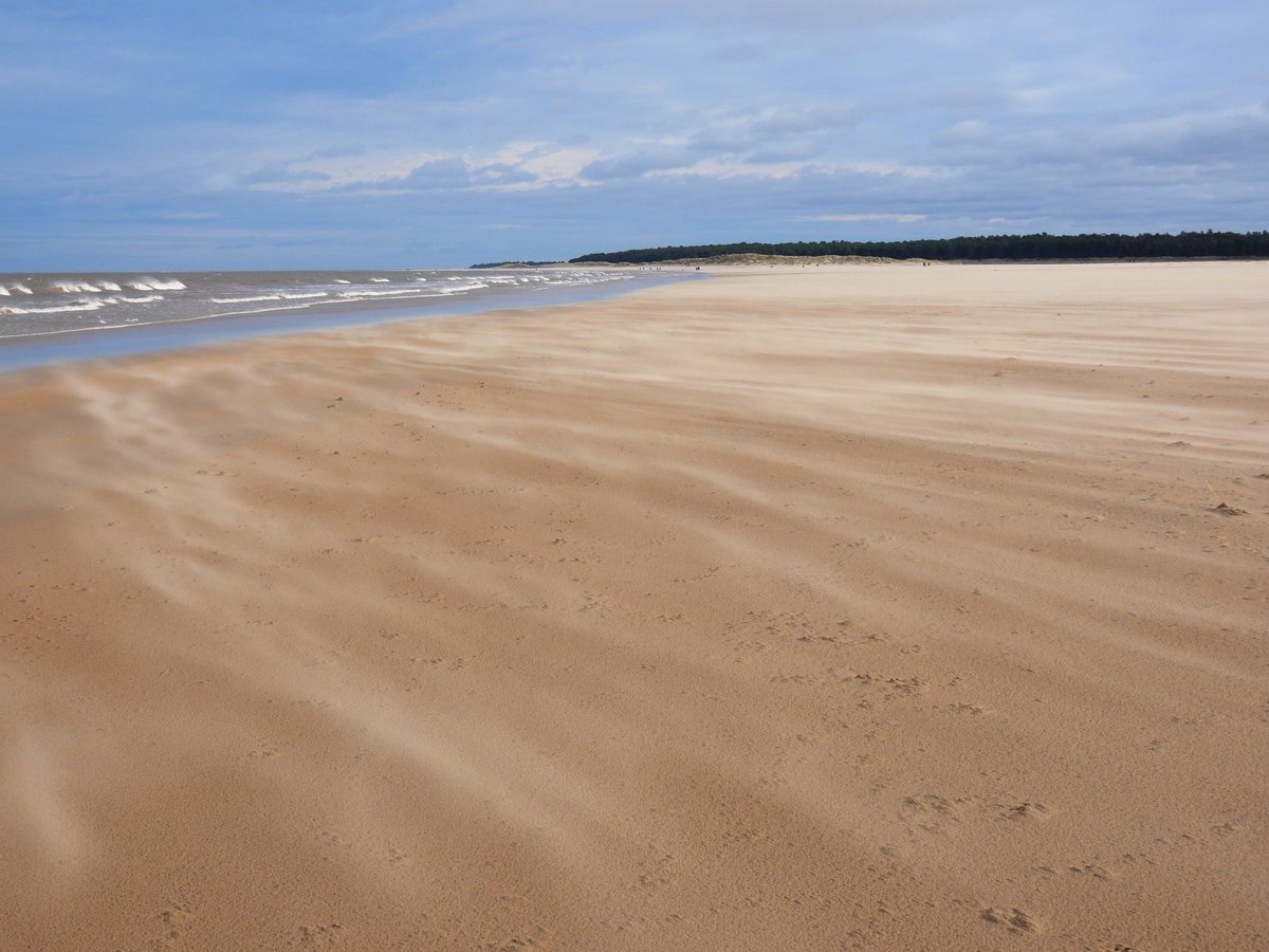 mattgarnham90's tweet image. Adventured to Holkham Beach, Norfolk 4th Feb. To see the Black Scoter with no luck. @NorfolkBirds #HolkhamBeach #equine #horseriding #pony #horse #Sanderling #birdwatching #beach #norfolk