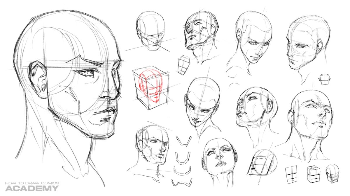howtodrawcomics's tweet photo. Drawing heads in perspective can be a real... headache.

In fact, it's almost as hard to draw the human head in perspective as it is to draw the entire body! Isn't that crazy?

The reason it's so difficult to get it right is because of the head's complex anatomy, form and features - which all change and morph when it's presented at a foreshortened angle. 

On top of that, we don't often observe heads from above or below. Most of the time we're eye level with any head we're looking at or talking to. 

So we're simply less familiar with how the head looks on those more dynamic angles.

That's why I made drawing heads in perspective the focus of last night's class in the How to Draw Comics Academy. 

We spent a whopping 4+ hours delving in depth on this topic as we learned how to simplify, visualize and represent the human head in 3D space, from multiple angles. 

Not only did we learn a variety approaches for drawing the head in perspective, we also discussed the mechanics behind it... 

What caused the proportions of the head and it's shape to change, and how they would be effected when foreshortening was applied.

It's the most comprehensive volume of training I've ever presented on this topic and you can access it on-demand right now by joining the HTDC Academy today: https://t.co/75IQuMxTv3

Use the special coupon code below to get a permanent 75% off your membership. That's right... this huge discount applies perpetually, to all future billing cycles when you use it to join the Academy right now!

Here's the coupon code: COMICARTMASTER

Simply apply it at check out and you'll knock 75% off your membership. 

The Academy's learning library expands each week with new lessons, demonstrations and feedback sessions. It's an ever growing resource that'll be of immense value to any comic artist who wants to rapidly advance their skills!

I'll see you inside.
-Clayton