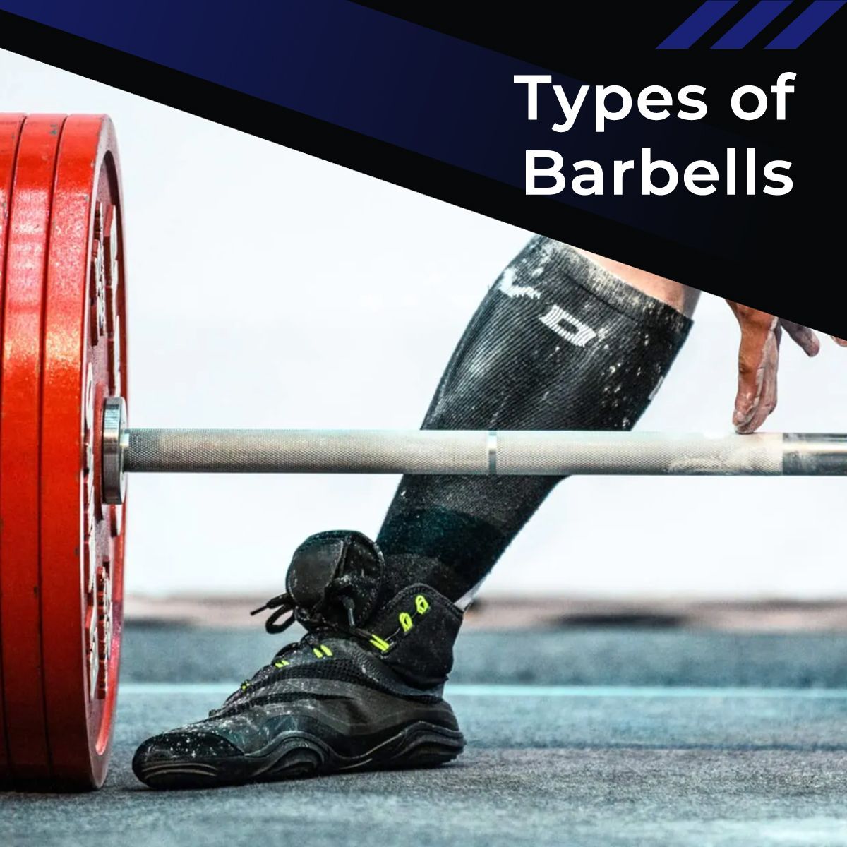 PullumGymKit's tweet photo. Powerlifting bars, weightlifting bars, hybrid bars — what sets them apart? Discover the nuances of each in our guide: https://t.co/7Y21cvZ7eo
#Weightlifting #Powerlifting #Bodybuilding #StrengthTraining #Ivanko #Eleiko #Gungnir #Strength #Gym #IWF #IPF #SBD #Pullum https://t.co/406iXBFn5J