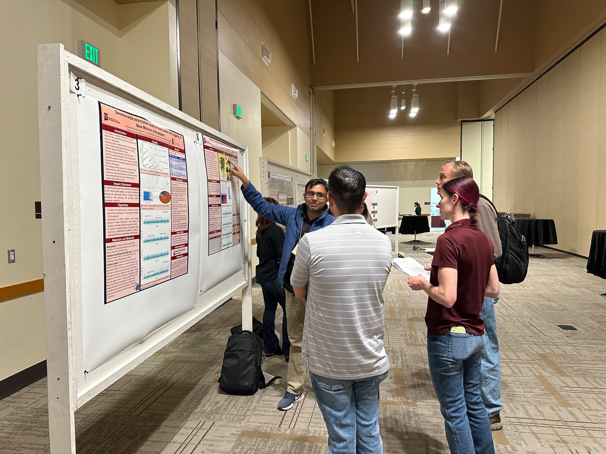 Dennis Nicuh Lozada (@nmsu_chile) on Twitter photo Currently happening: NM Chile Conference 2024 Student Poster Competition. Interesting research from NMSU students! Go Aggies! #NMCC2024 <a href="/chilepepperinst/">The Chile Pepper Institute</a> <a href="/NMSUaes/">NMSU AES (Ag Experiment Station)</a> <a href="/NMSUNews/">NMSU News</a> <a href="/nmsugradschool/">nmsugraduateschool</a> Currently happening: NM Chile Conference 2024 Student Poster Competition. Interesting research from NMSU students! Go Aggies! #NMCC2024 <a href="/chilepepperinst/">The Chile Pepper Institute</a> <a href="/NMSUaes/">NMSU AES (Ag Experiment Station)</a> <a href="/NMSUNews/">NMSU News</a> <a href="/nmsugradschool/">nmsugraduateschool</a>