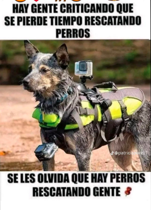 Patriota_Reina's tweet photo. Así no más la cosa... https://t.co/k0svDbrxqP