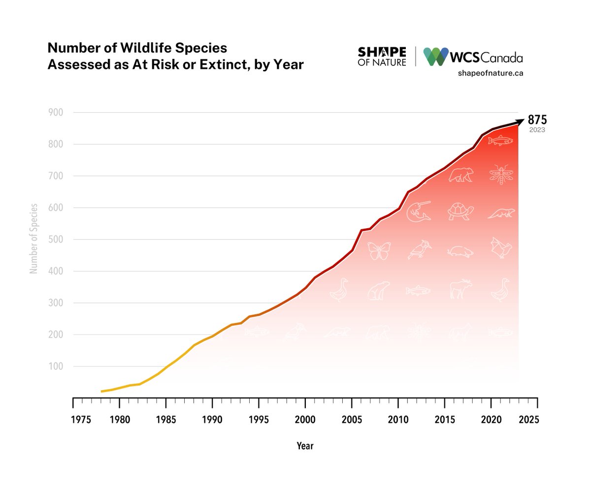 Canada officially has less biodiversity than one year ago. 

Last year the number of species assessed as at risk by COSEWIC grew to 875. Ten years ago, that number was 676. 

Read more on the blog → loom.ly/PNQ9_O8