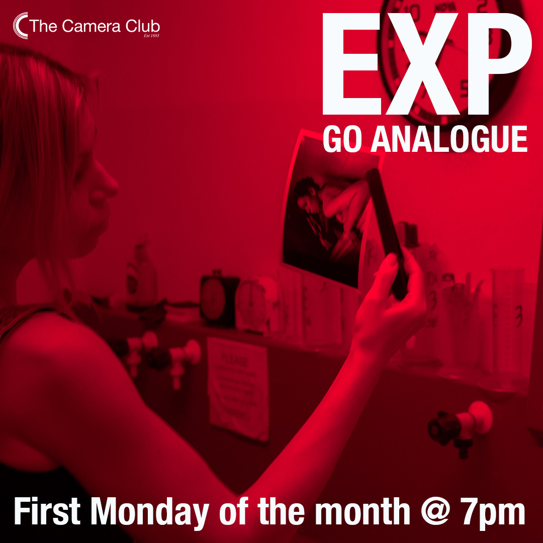 The Camera Club tweet media