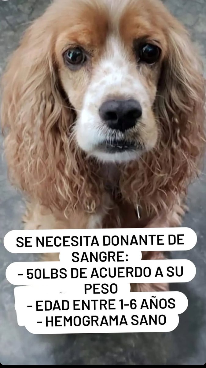 AliTorrs's tweet photo. https://t.co/4wccfhYWjI