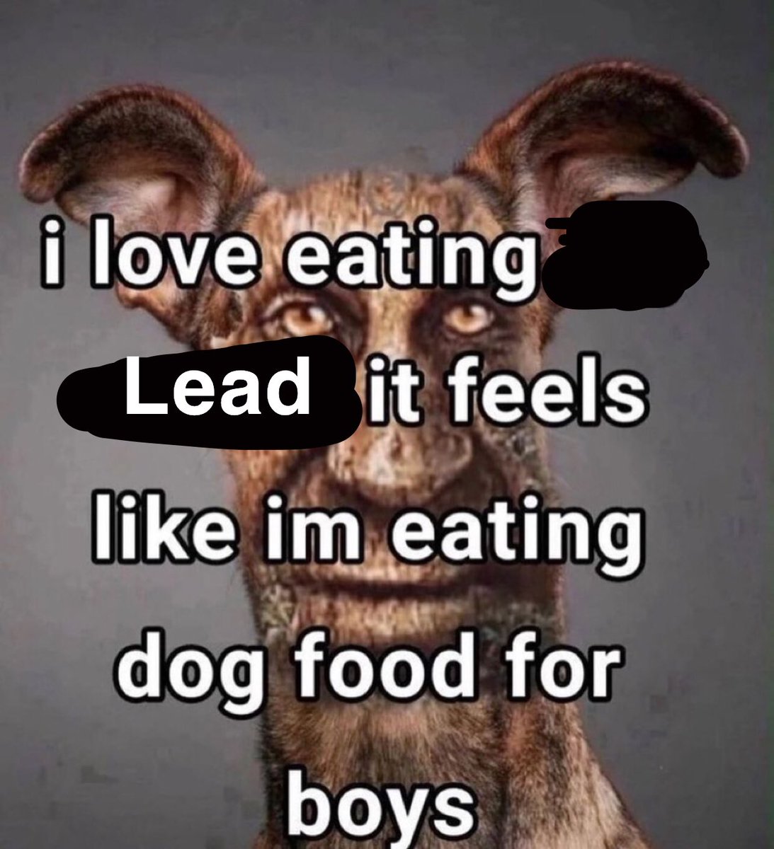 @zoomeralt dog food for boys
