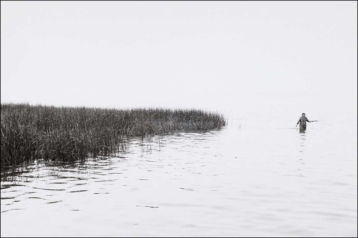 BODY: a group show at ASA Gallery featuring several of my works. Opening Friday February 16 at 6:00 pm.
ASA Gallery #222 - 1235 26 Ave SE, Calgary