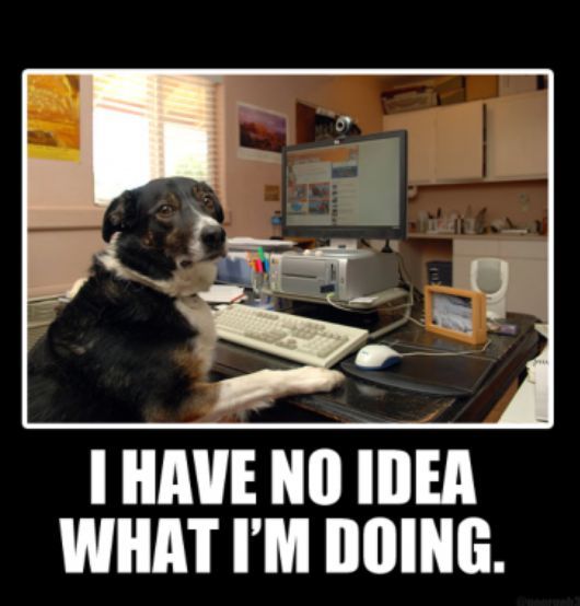 Being a startup founder

At 4:05pm when you have a great idea, and at 4:08pm when you think about the idea more