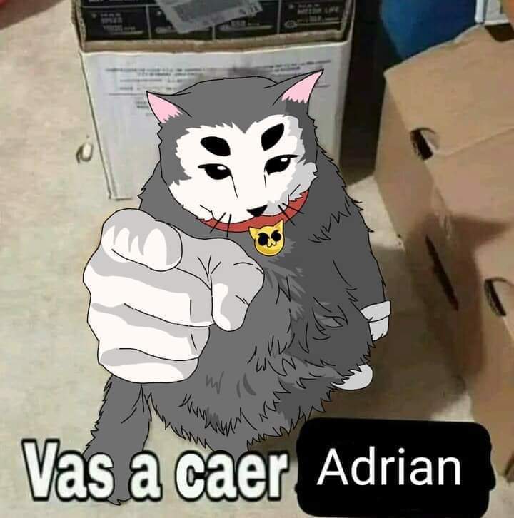 Juanox__'s tweet photo. @Robin7w7 #adrianesunpendejo
#AdrianOut https://t.co/12fnns0OuA