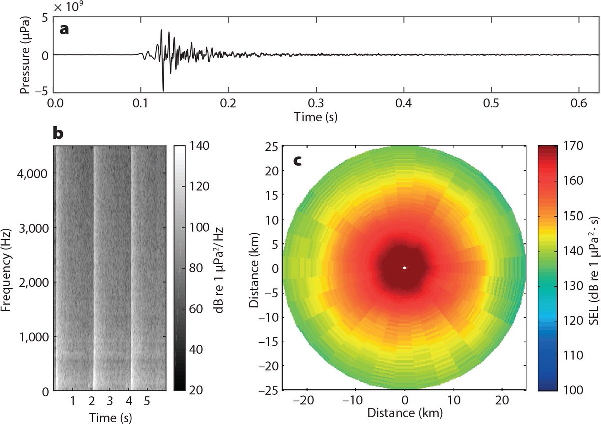 Robert Rand tweet media