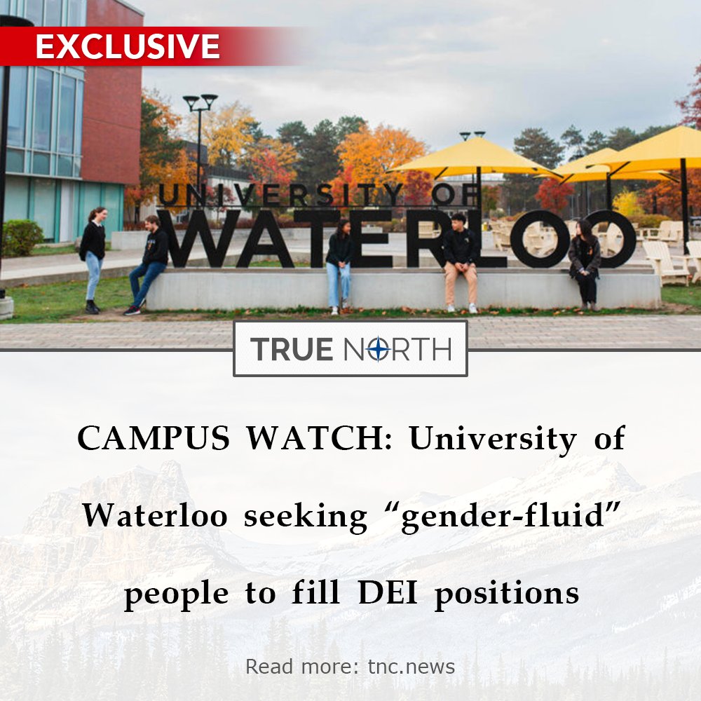 junonewscom's tweet photo. The University of Waterloo is looking for “gender-fluid” people, as well as women, sexual minorities and non-white people to meet the “diversity, equity and inclusion” quotas of its Canada Research Chairs positions.

Read more: https://t.co/Ce1qSEIEHV https://t.co/wdU4yC6tOw