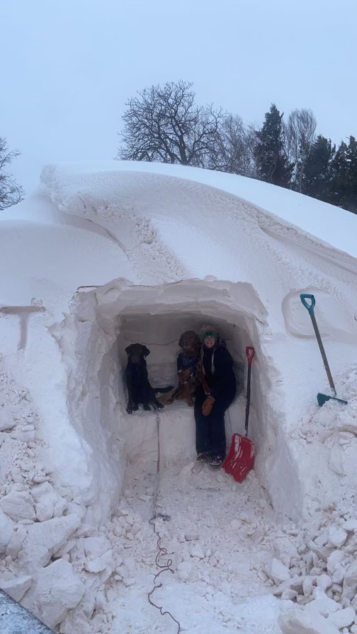 Hope everyone is enjoying the winter blast! <a href="/tarajolynn/">tara wallace</a> and their pups sure look they are enjoying it! #mattwasatit 😊