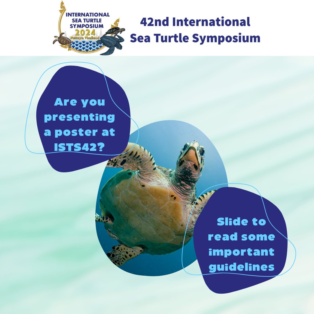 🌊🐢ISTS Sea Turtle Symposium tweet media