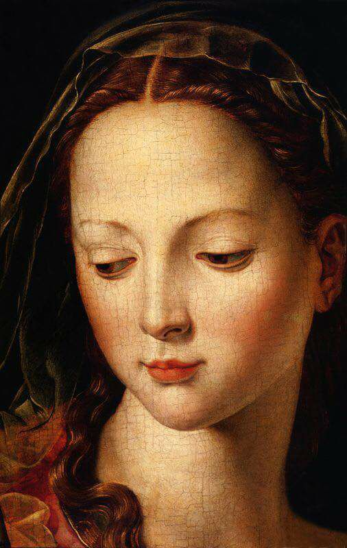 'OUR LADY, MARY, QUEEN OF ANGELS, MOTHER OF GOD'
Agnolo #Bronzino - #Madonna  
{detail} 1540-50  #Renaissance #Mary #QueenofAngels #MotherMary #NotreDame #OurLady #art