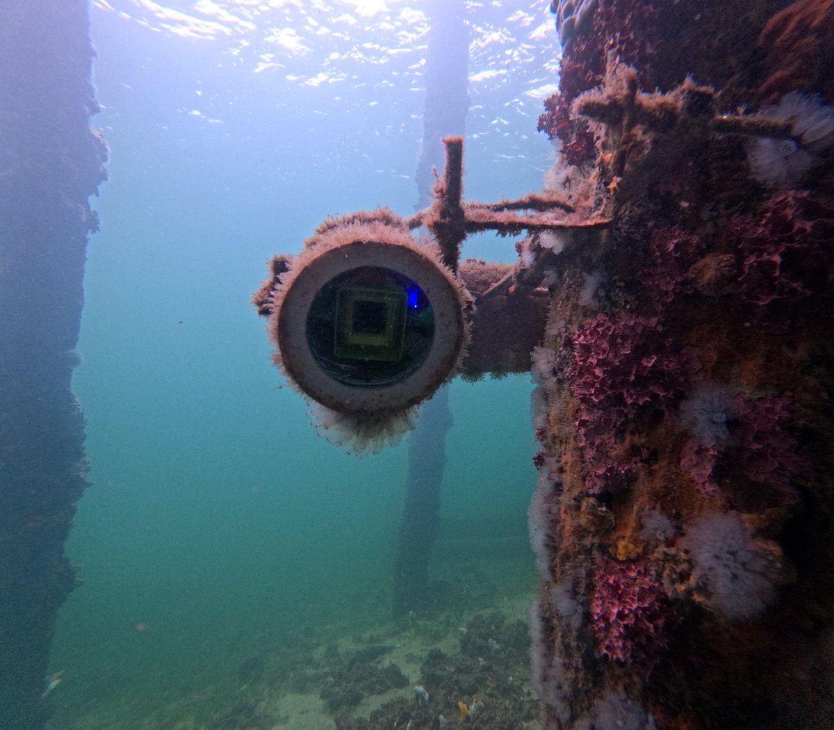 AusOcean tweet media