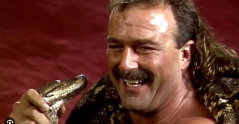 Dave_Landry13's tweet photo. @WrestlingDazeYT https://t.co/LuyRZjLDTS