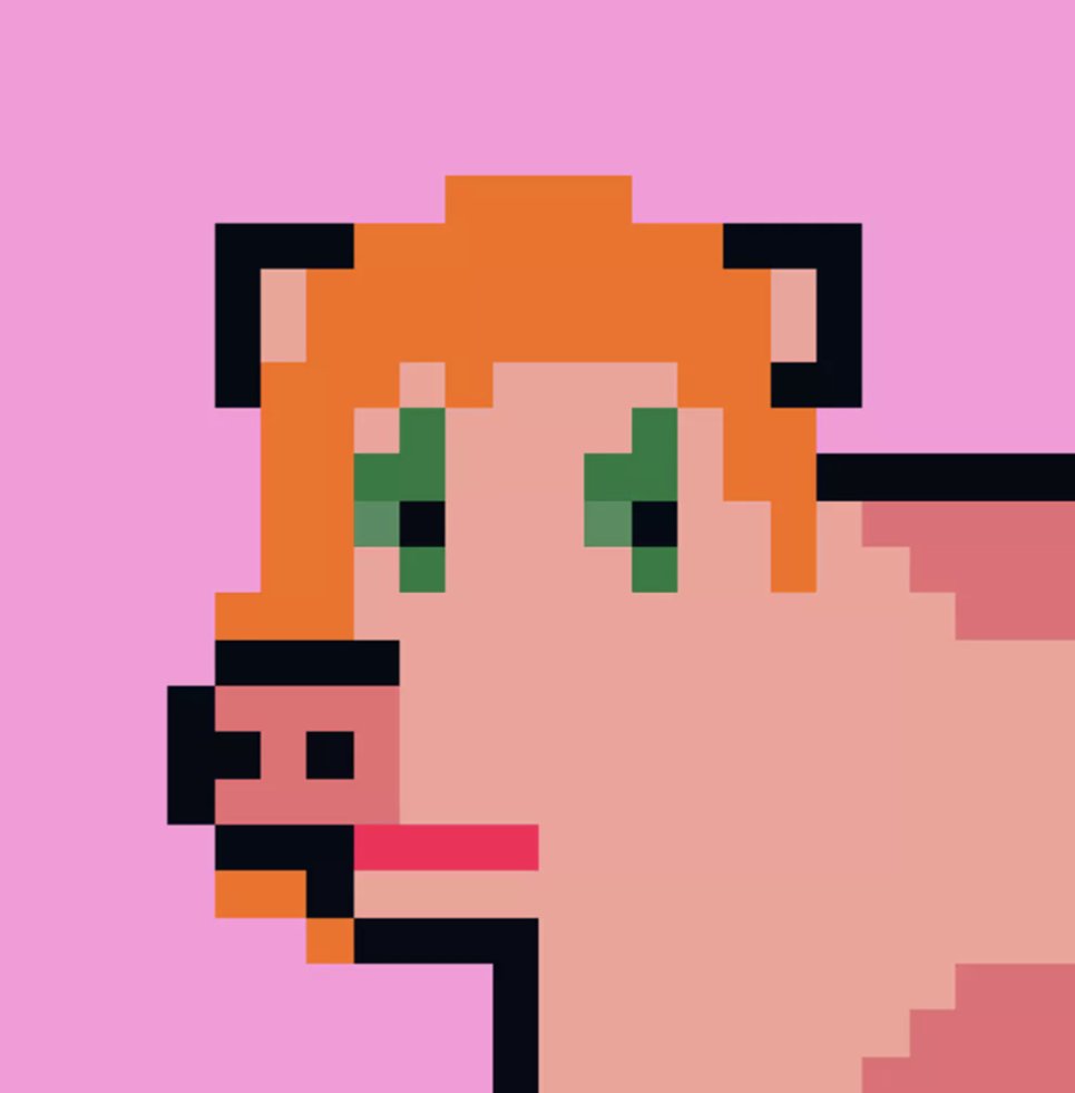Therm4242's tweet photo. Feeling cute, might delete later.
 🐖

 #Cryptoporks
@0xAvocato 
@CryptoPhunksV2 
$PORK
#porkcoin https://t.co/XJ5bu8vJSV