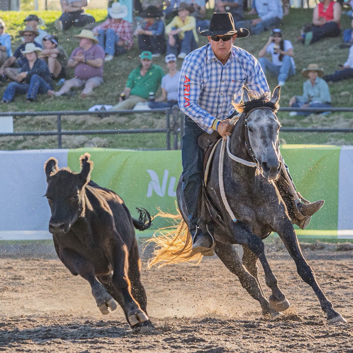 2024 Nutrien Classic - What's been happening?

Take a look 👀 

See what's happening live here: nutrienequine.com.au/nec24-event-de…

#Equine #NutrienClassic #2024NutrienClassic #goingfurther #campdraft