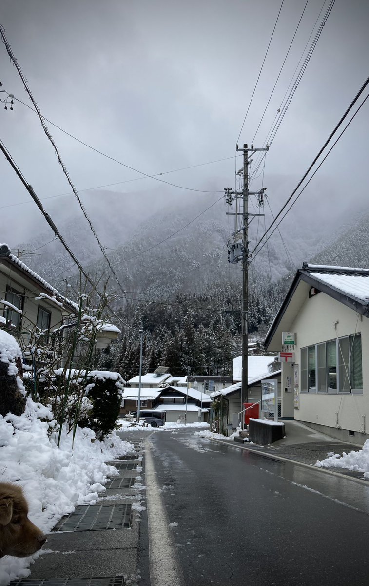 気温5℃、鹿塩郵便局の通り。
平地の道沿いは雪が溶けて大きな水たまり多発中。水はねにご注意
