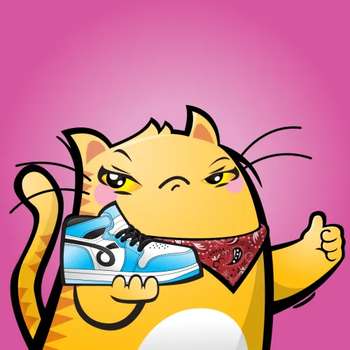 ⚡️Splat⚡️ tweet media