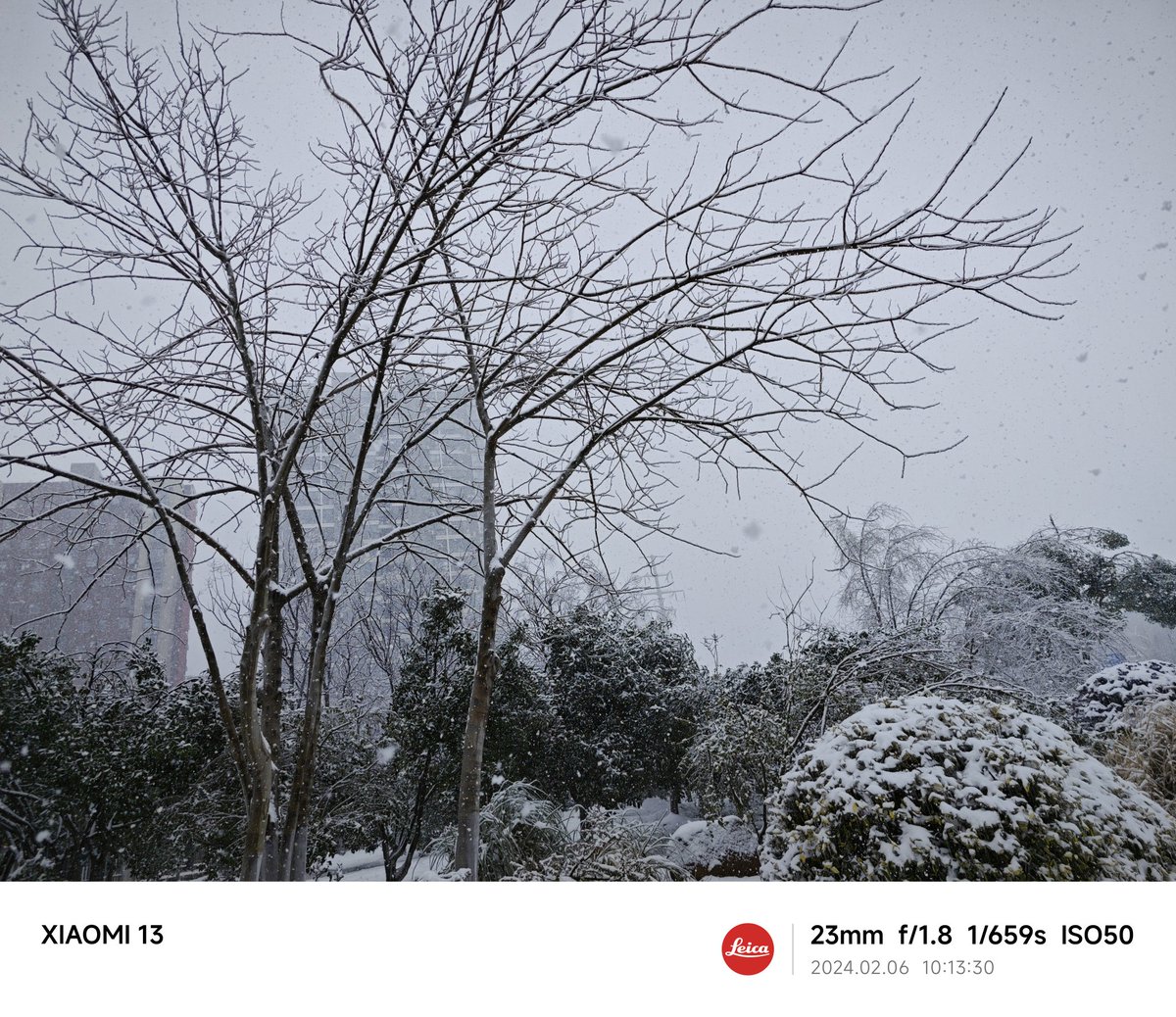 LucadW's tweet photo. Snow keeps falling https://t.co/NKlGwy2hL7
