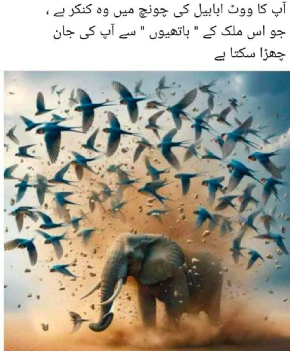 #AsimMunir
#ووٹ_ڈالو_خان_نکالو
Assalam-u-alaikum 
Subah ba khair❤️☕️
