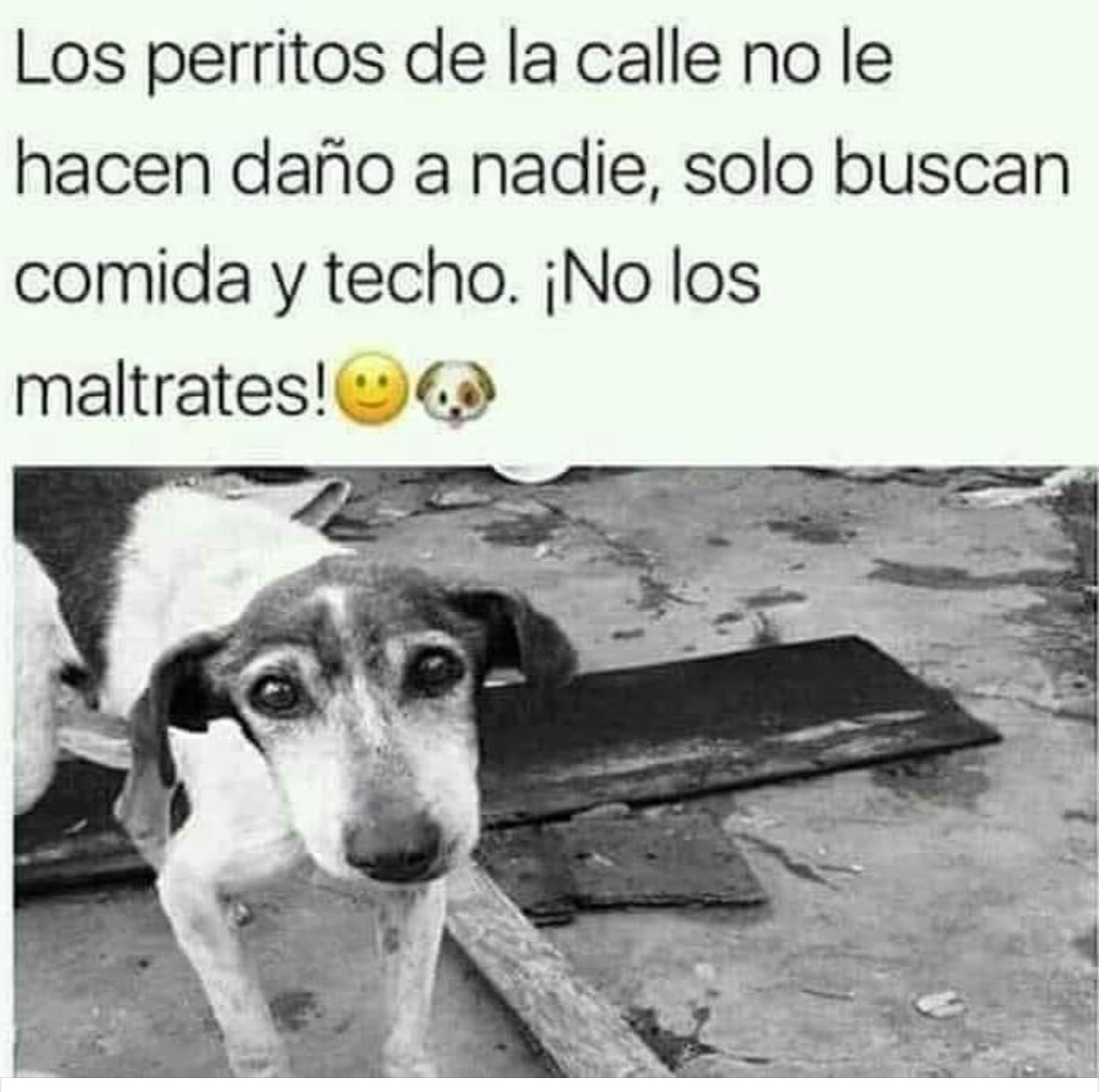 Piensa