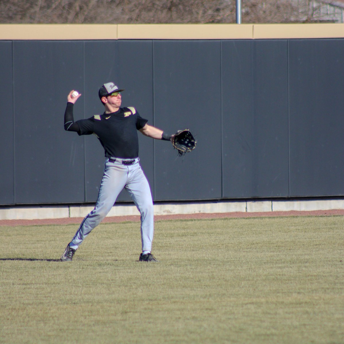 Purdue Baseball tweet media