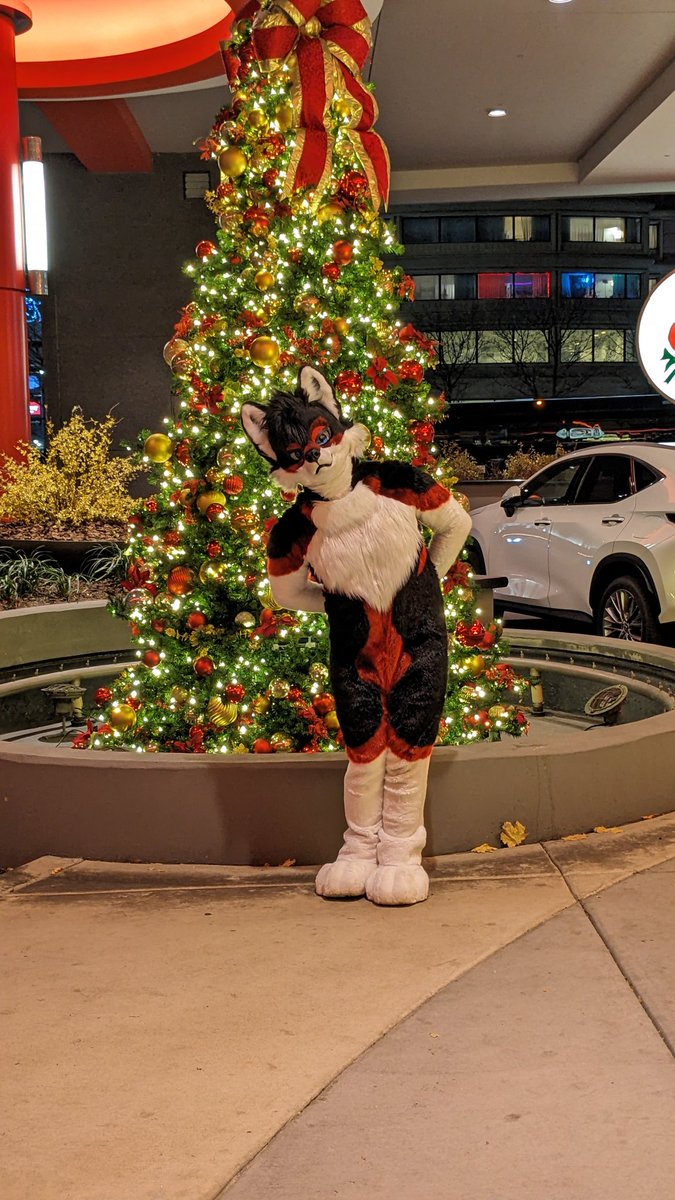 A lovely christmas picture at MFF 📷@XavierNerdFox
