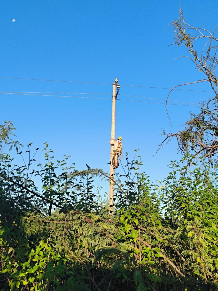 CFEmx's tweet photo. #CFEInforma | Luego de las afectaciones por el paso del frente frío 32 en Quintana Roo y Yucatán, el personal de la @CFEmx ha conseguido un avance de 96% en el restablecimiento del servicio eléctrico y sigue laborando en ello. https://t.co/Wc88y1jhM2 https://t.co/jbx3IKEXwL