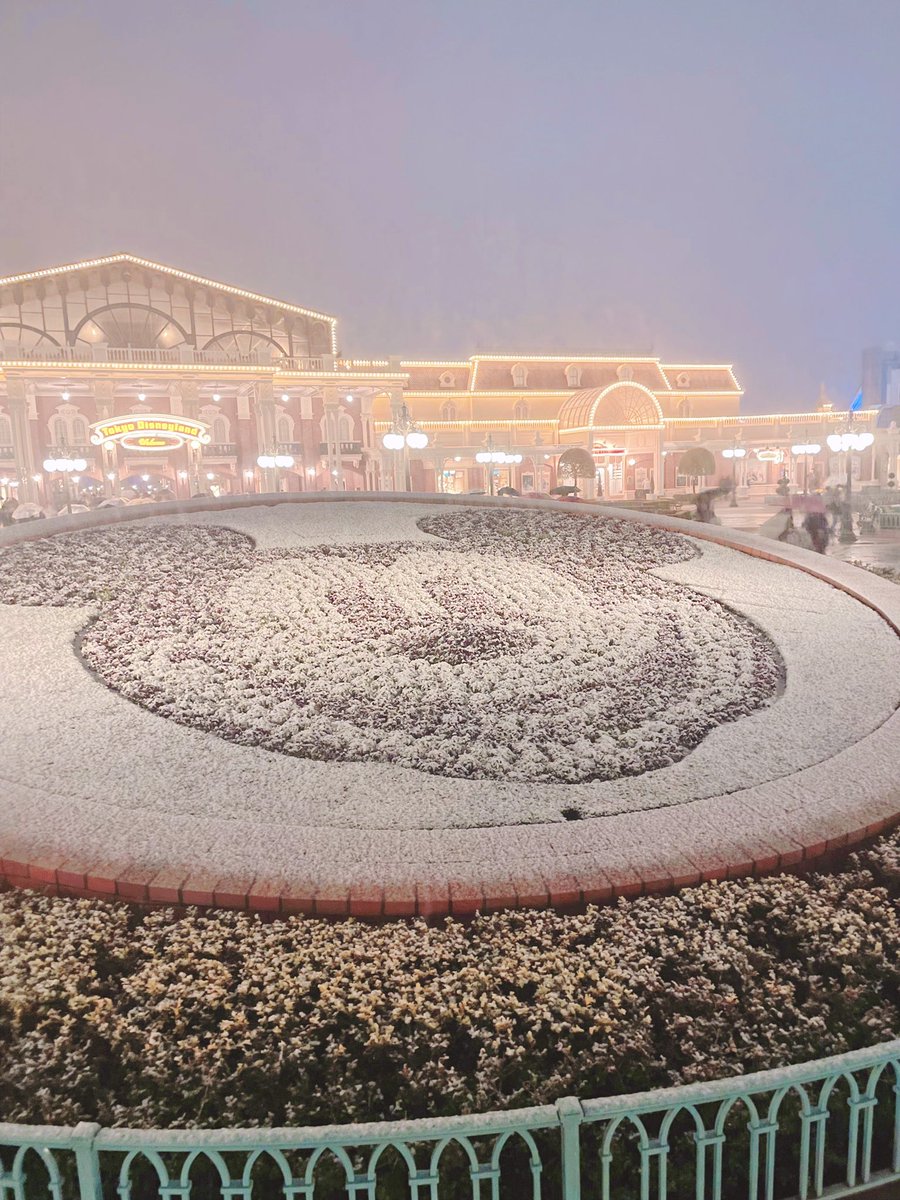 1v3uP's tweet photo. 昨日は、久しぶりの雪❄️

2年前の雪の日ディズニー☃️

#雪　#雪を味方にできた時の写真が見たい https://t.co/3wfIjUulKx