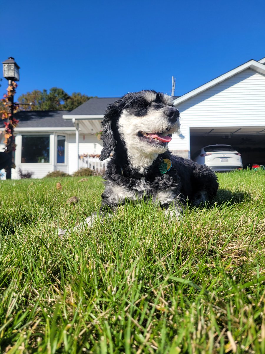 Chris Colbert tweet media