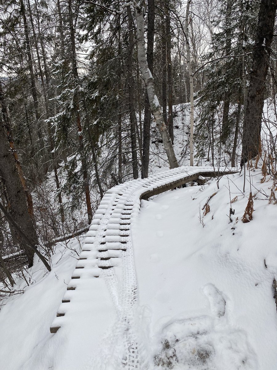 A very engaging commute home today with ice sections under the powder.
